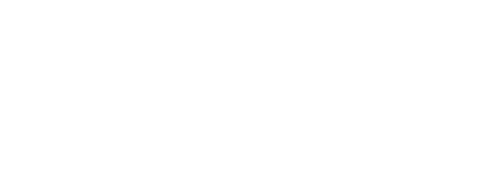 Study Idaho logo white